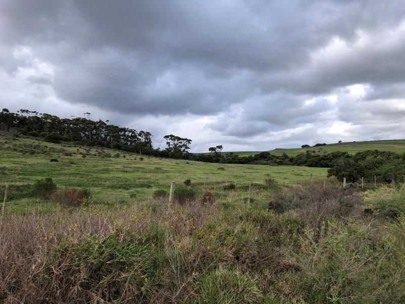 0 Bedroom Property for Sale in Baardskeerdersbos Western Cape